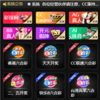 CC国际总代理